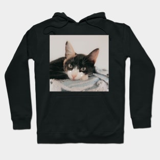 Roo Hoodie